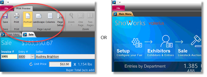 ms access runtime ribbons